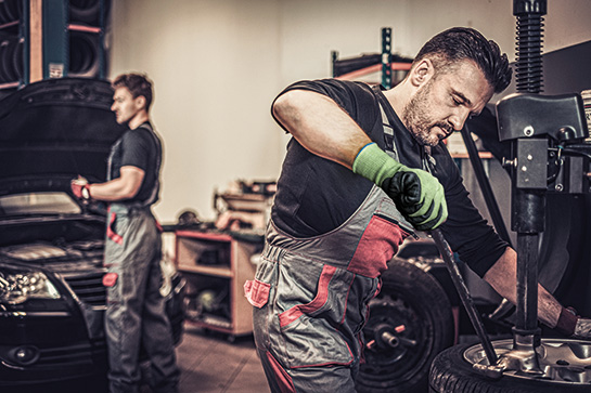 shutterstock_524270053_TG6240